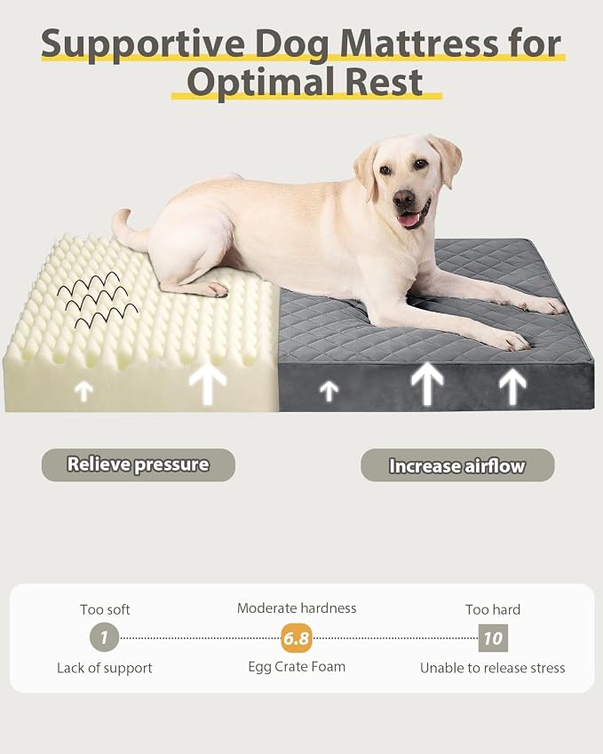 NUPIDA Orthopedic Dog Beds Large Sized Dog Waterproof Lining with Removable Washable Cover and Non-Slip Bottom, Quilting Pet Bed, 35x23 Inch, Dark Gray