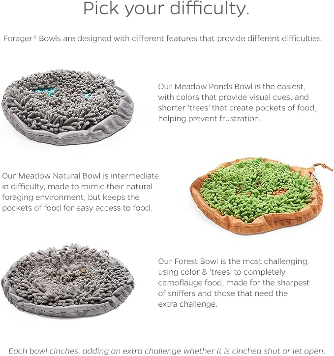 PET Parents Forager Snuffle MAT and Slow Feeder Dog Bowl, Meadow Natural