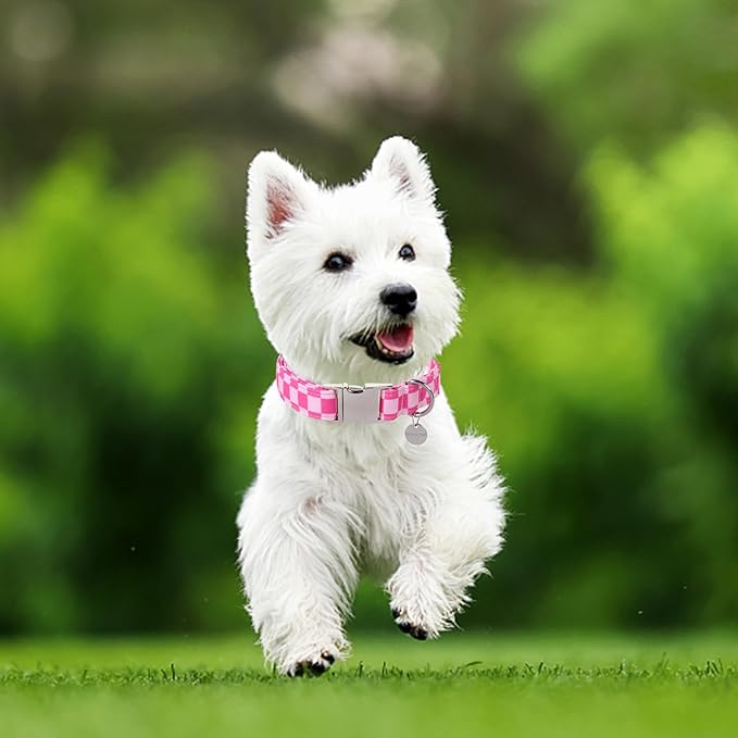Dog Collar for Summer,Cute Pink Plaid Dog Collar,Cotton Puppy Collar with Adjustable Metal Buckle for Small,Medium,Large Girl Boy Dog