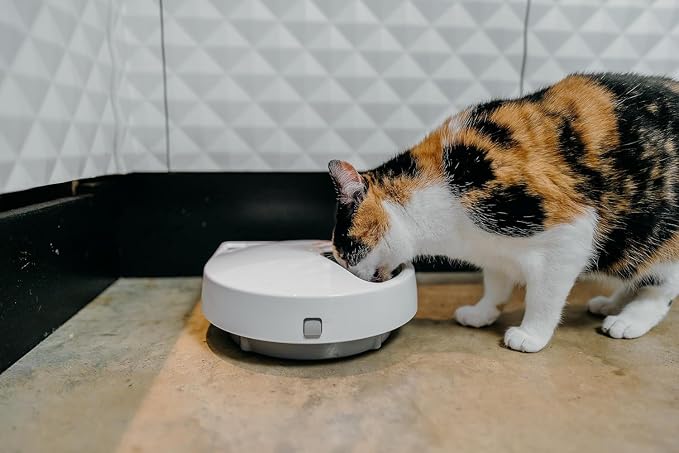Cat Mate C500 Automatic 5 Bowl Digital Timer-Controlled Pet Feeder - for Cats and Small Dogs, Wet or Dry Food, Includes Twin Ice Packs, 5 Meals Up to 0.73 lb Each, White