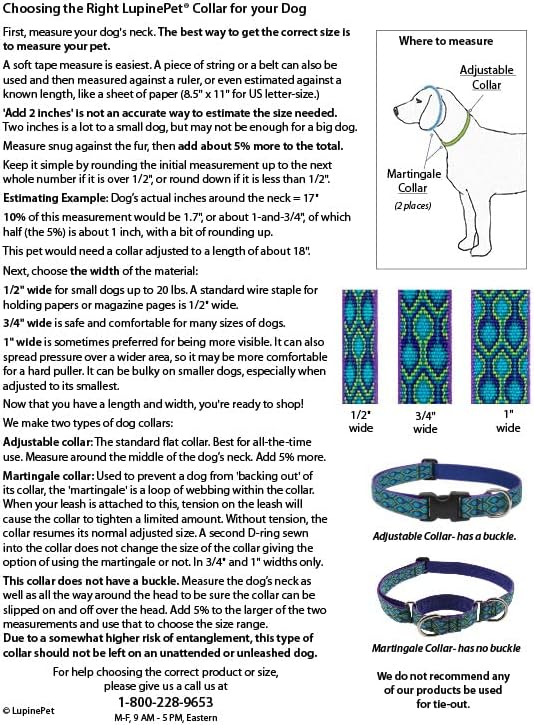LupinePet Basics 1" Black 12-20" Adjustable Collar for Medium and Larger Dogs
