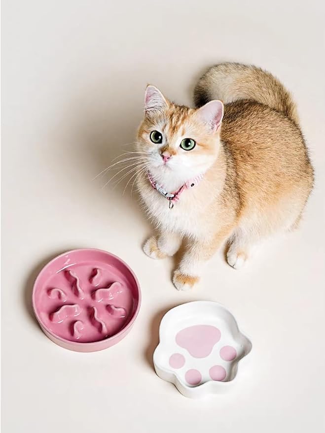 LE TAUCI PET Ceramic Slow Feeder Dog Bowls Small Breed, 0.5 Cups Dog Food Dish for Fast Eaters, Puzzle Bowl for Small Dogs and Cats, 5.5 Inch-Pink