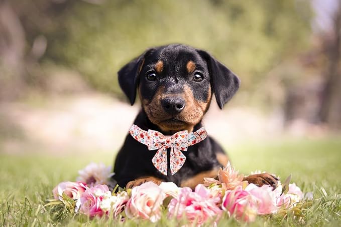 Lionet Paws Design Dogs Collar Cute Flower Sailor Bow Dog Collars for Girl Female Medium Large Dogs with Summer Floral XL