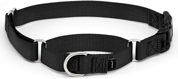 PetSafe Martingale Dog Collar with Quick-Snap Buckle Large, 1 Inch, Black