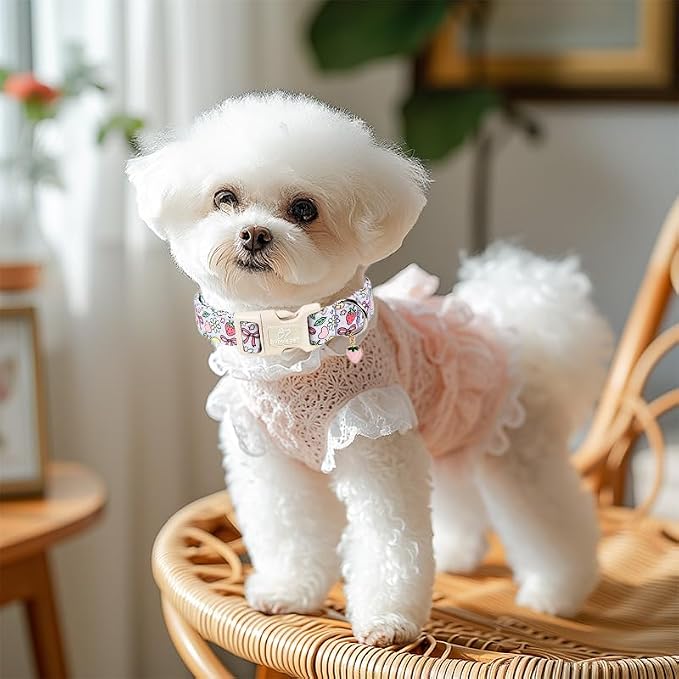 Summer Dog Collar Cute Lavender Dog Collars for Large Dogs - Lightweight Adjustable Fruit Printed Female Dogs Everyday Collar with Safety Buckle L