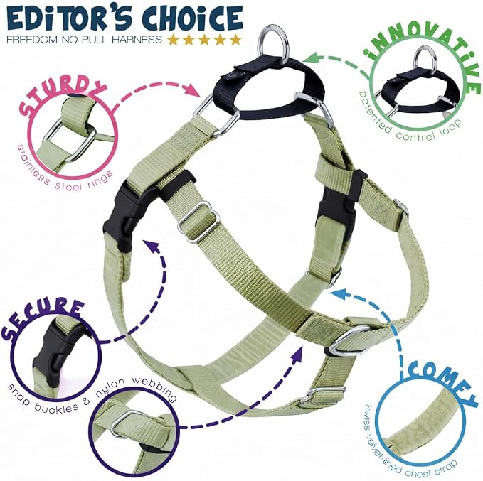2 Hounds Design Freedom No Pull Dog Harness, Adjustable Harness, Easy Walking & Comfortable Control, Fits Small, Medium & Large Dogs, Solid Colors, Made in USA, 1" XL, Tan