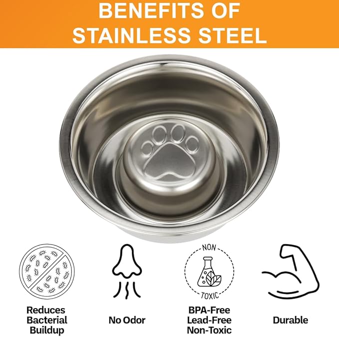 Neater Pet Brands Stainless Steel Slow Feed Dog Bowl for Fast Eating Small Breeds, Metal Slow Feeder Dog Bowl Fits in Cat & Small Neater Feeders, for Puppy or Dogs (< 15 lbs), 3/4 Cup Food Capacity