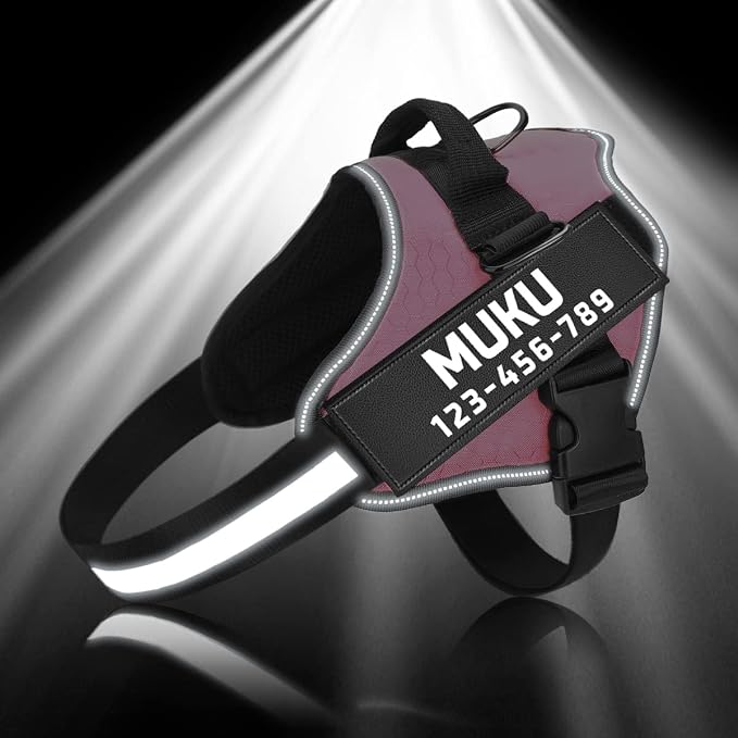MUMUPET Custom Dog Harness Vest with 2 Personalized Name & Phone Patches, No Pull Reflective Adjustable with Handle, Soft Breathable Padding for Small Dogs (Pink, S)