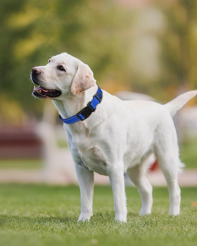 Joytale Dog Collars for Medium Dogs, Comfortable Double-Sided Reflective Nylon Collar for Night Safety, Adjustable Quick-Release for Active Pets, Navy Blue, M (1" Width)