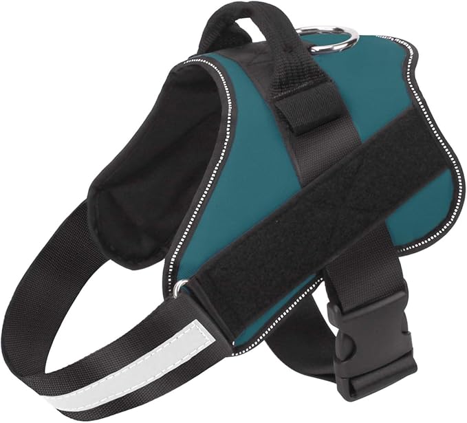 Dog Harness, No-Pull Reflective Dog Vest, Breathable Adjustable Pet Harness with Handle for Outdoor Walking - No More Pulling, Tugging or Choking (Turquoise, XS)