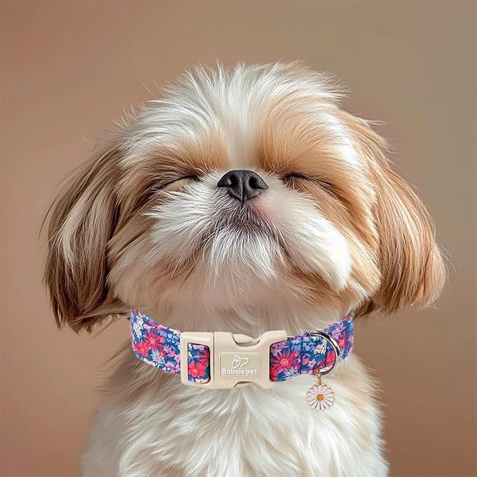 Floral Dog Collar Spring Summer Dog Collars for Small Dogs - Lightweight Adjustable Vintage Wildflower Boy Girl Dogs Everyday Collar with Safety Buckle S