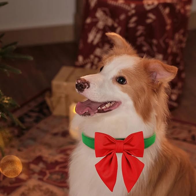 Maca Bates Christmas Grass Green Dog Collar with Cute Solid Sailor Bow Tie for Medium Girl Boy Dogs,Adjustbale Durable Breakaway Soft Collars with Bowtie for Female Male Puppy,Pet