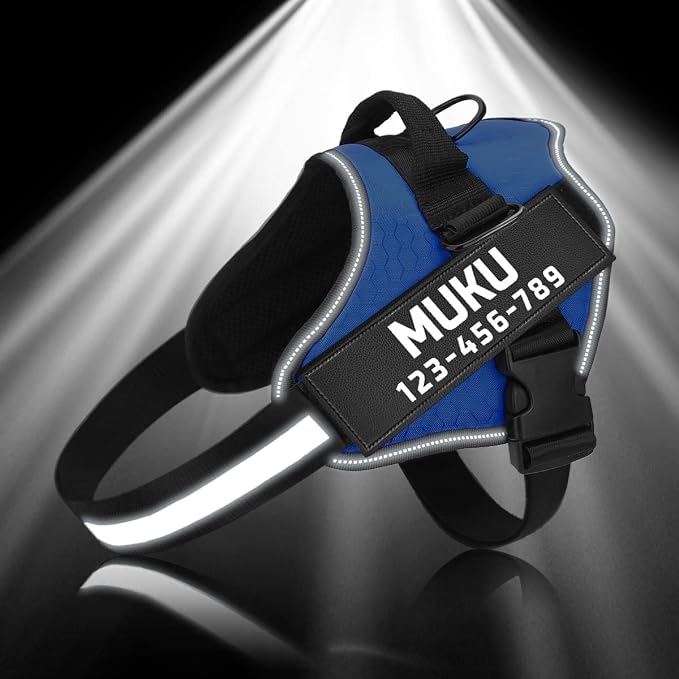 MUMUPET Custom Dog Harness Vest with 2 Personalized Name & Phone Patches, No Pull Reflective Adjustable with Handle, Soft Breathable Padding for Large Dogs (Blue, L)