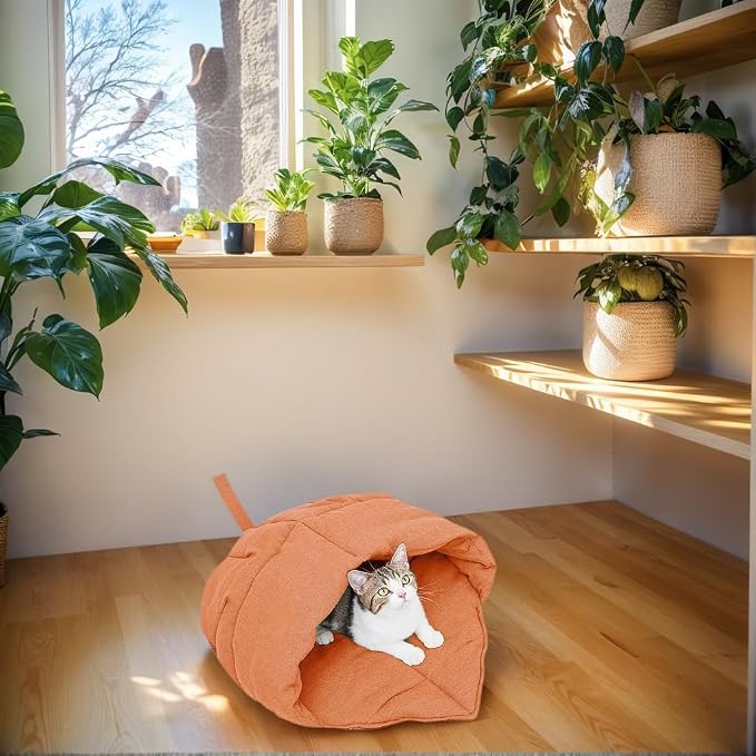 Comfort Cave Bed Dogs Cats Washable Plush Bedroom Living Room Home Decoration Soft Plush Pet Bed