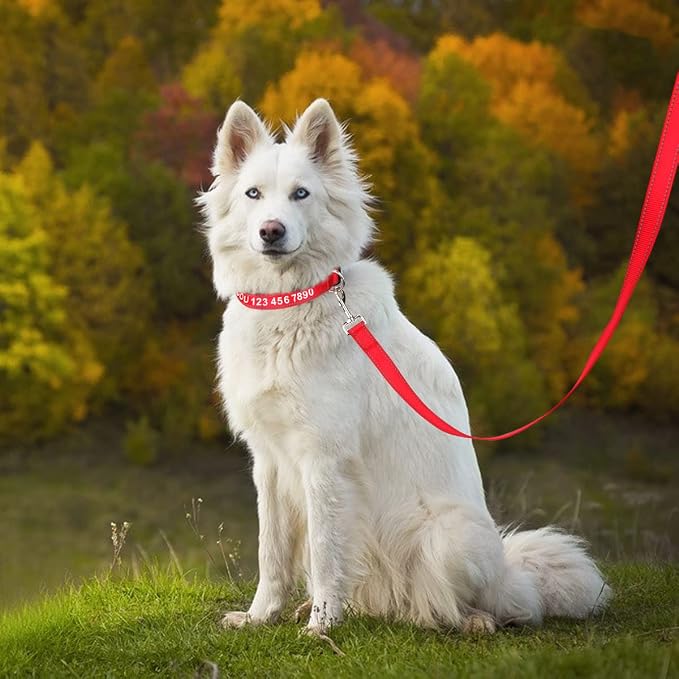 Taglory Dog Leash for Medium Large Dogs, Double-Sided Reflective for Night Walking, Neoprene Padded Handle, 1 inch by 6 ft, Heavy Duty for Medium Large Breeds 20-150 lbs, Red