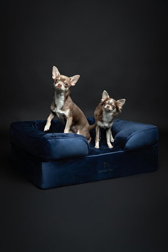 NOAH & PAW Dog Bed, 28x23x11 Inch, Orthopedic Dog Beds for Medium Size Pets, Eggshell Memory Foam Infused with Cooling Gel, Inner Cover, Water Resistant, Machine Washable (Velvet Sofa Collection)