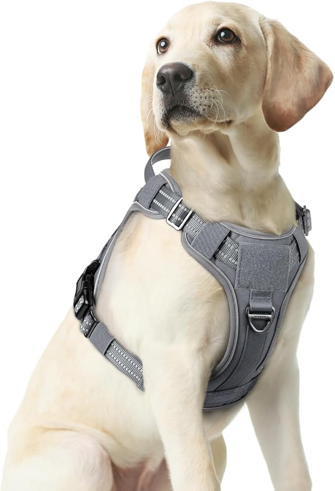 rabbitgoo Tactical Dog Harness for Large Dogs No Pull Adjustable Military Vest with Handle MOLLE Reflective Heavy Duty Dog Vest for Walking Training Hunting Outdoor Working Medium Size Dog Grey M