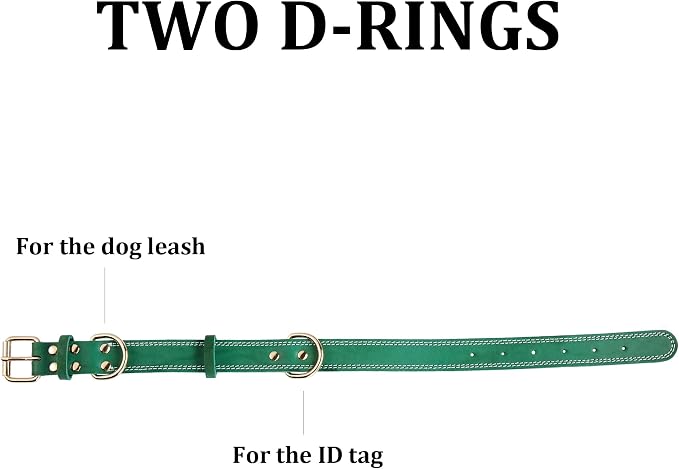 Leather Dog Collar, Heavy Duty, Wide, Genuine, for Medium & Large Dogs, Dual Stitch - Green