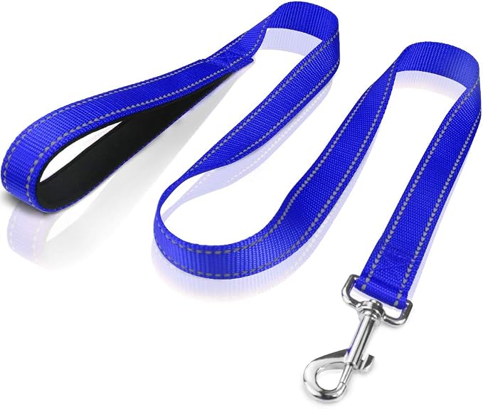 FunTags 4FT Royal Blue Reflective Dog Leash for Medium & Small Dogs Training, Soft Padded Handle Comfortable Grip, Heavy Duty Nylon, Reflective for Night Walking, 3/4in Wide