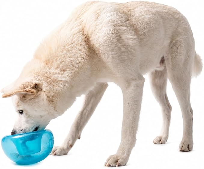 Outward Hound by Planet Dog Snoop Dog Toy – Treat‑Dispenser Puzzle Ball, Interactive Slow Feeder, Medium to Large Dogs, Bouncy & Mint-Infused, Blue, 5"