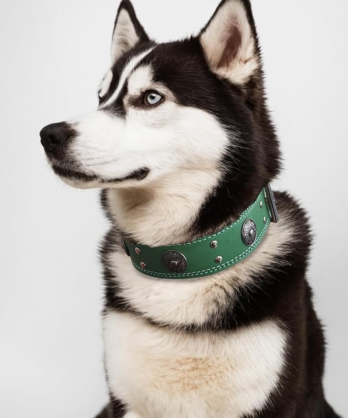 Genuine Leather Dog Collar for Large Dogs,2 in Wide Heavy Duty,GN-S | Handmade,Stainless Steel Pin Buckle,Soft Padded,Alloy Studded,Luxury Eye-catching Design,Medium Large Giant Breeds,15-19 in