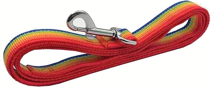 TAIAN 4FT/5FT/6FT Strong Dog Leash, Nylon Dog Leashes for Small Medium Large Dogs (1 in x 4 ft, Rainbow)