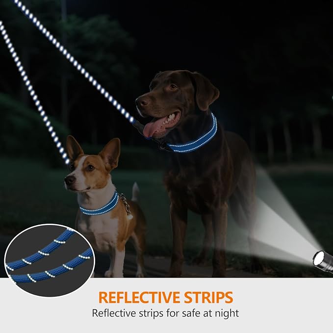 Taglory Double Dog Leash Coupler for Two Dogs, 1/3" Lightweight Dual Leash Extension for Small and Medium Dogs, No Tangle 360° Swivel, Reflective Rope, 30 Inch, Blue
