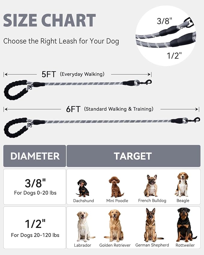 Joytale Dog Leash for Small Dogs, Heavy Duty Nylon Leashes with Comfortable Padded Handle and Highly Reflective Threads, Ideal for Walking and Training, Gray, 6'×3/8''