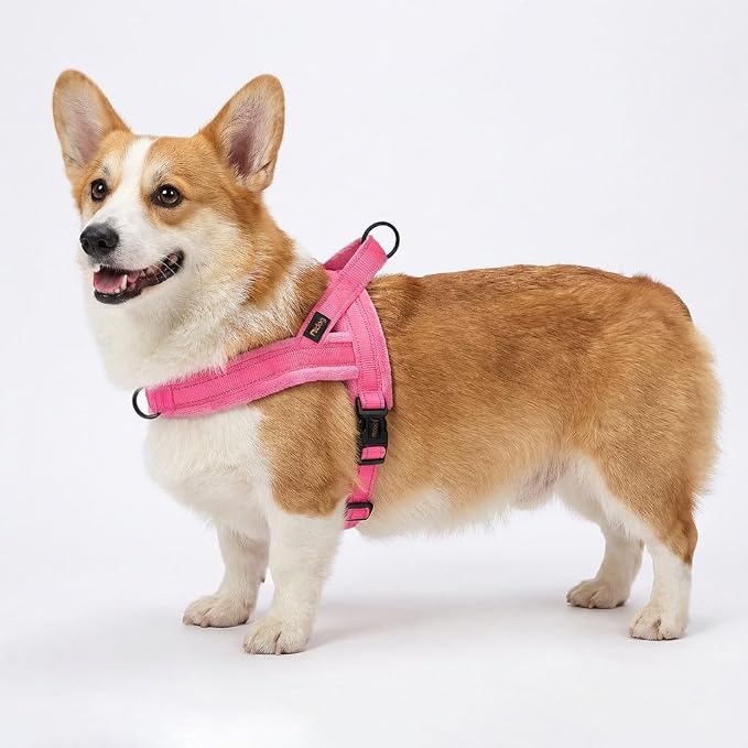 Didog Soft Flannel Padded Dog Vest Harness, No Pull/Quick Fit Reflective Dog Strap Harness, Easy for Training Walking (M:Chest 21-26", Pink)