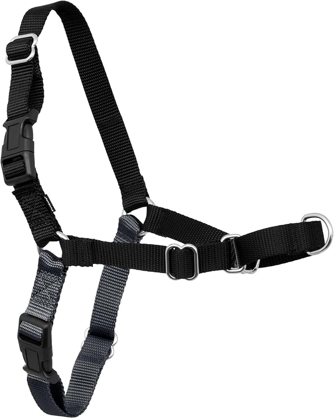 PetSafe Easy Walk No-Pull Dog Harness - Ultimate Harness to Help Stop Pulling - Pull-Free Walks - Take Control & Teach Better Leash Manners - Patented Martingale Loop Design - Gray, Medium/Large