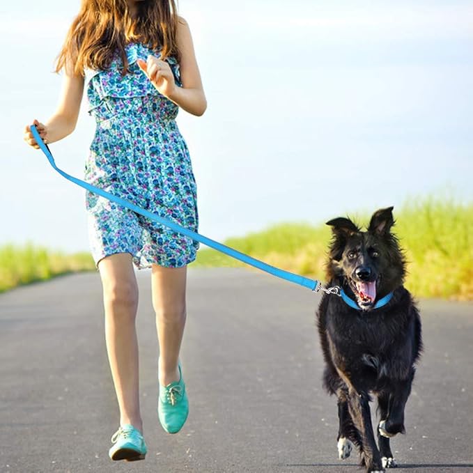 FunTags 4FT Sky Blue Reflective Dog Leash for Large & Medium Dogs Training, Soft Padded Handle Comfortable Grip, Heavy Duty Nylon, Reflective for Night Walking, 1in Wide