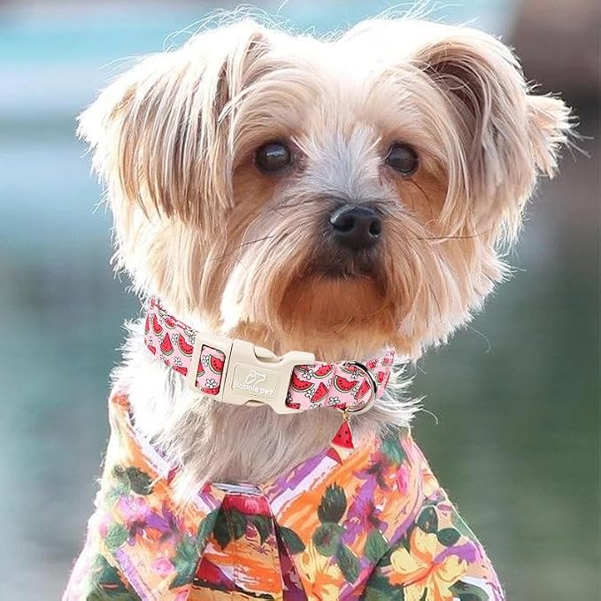 Summer Dog Collar Pink Watermelon Girl Dog Collars for Giant Large Dogs - Lightweight Adjustable Cute Female Dogs Everyday Collar with Safety Buckle XL