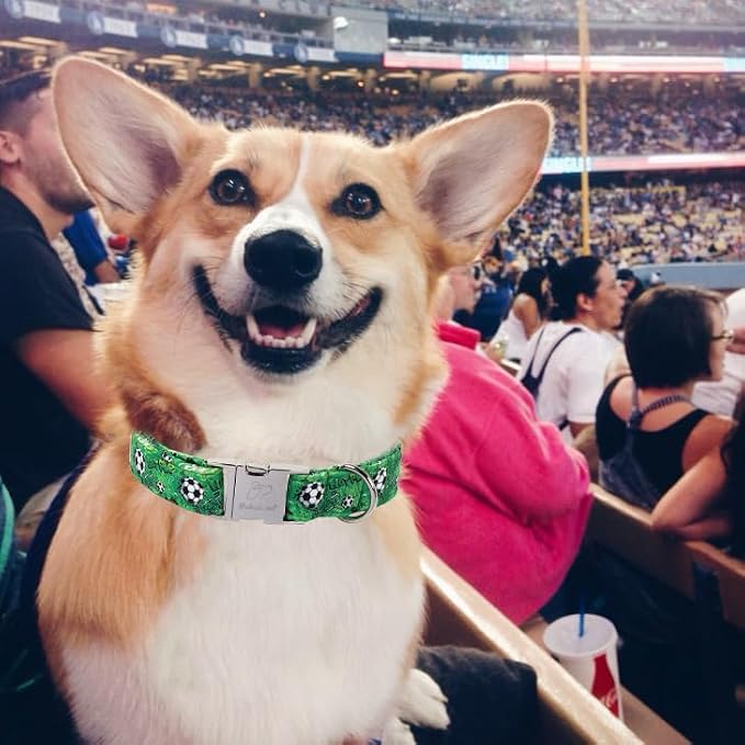 Cute Dog Collar, Green Soccer Boy Dog Collars - Soft Adjustable Everyday Collars for Small Medium Large Dogs, Durable Metal Buckle Male Dogs Collar XL