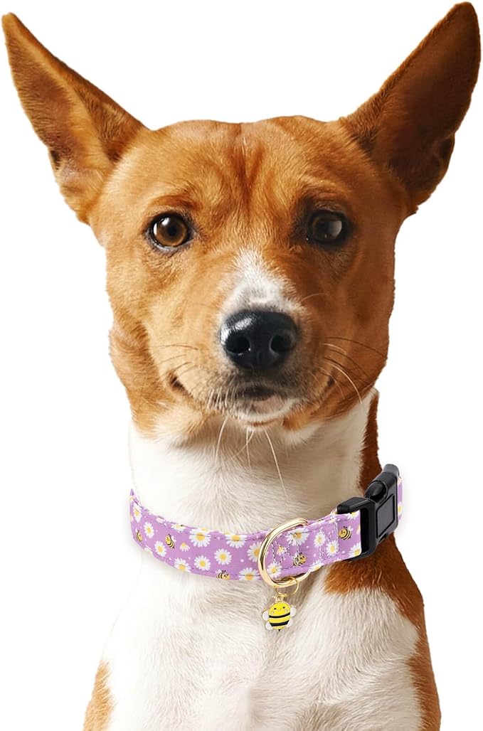 Cotton Dog Collar,Soft and Cute Puppy Collars with Bee Patterned Design for Girl Female Boy Dogs,Adjustable Buckle Pet Collar for Small Medium Large Dogs (Purple Bee, L)