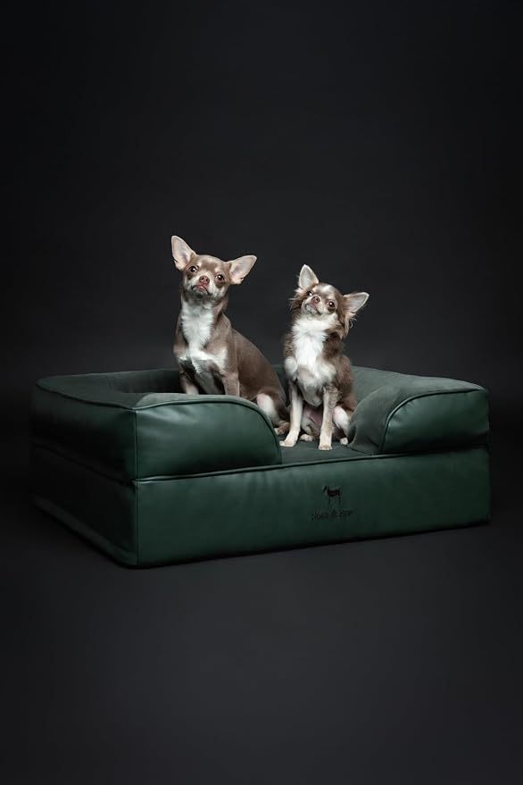 NOAH & PAW Dog Bed, 28x23x11 Inch, Orthopedic Dog Beds for Medium Size Pets, Eggshell Memory Foam Infused with Cooling Gel, Inner Cover, Water Resistant, Machine Washable (Faux Leather)
