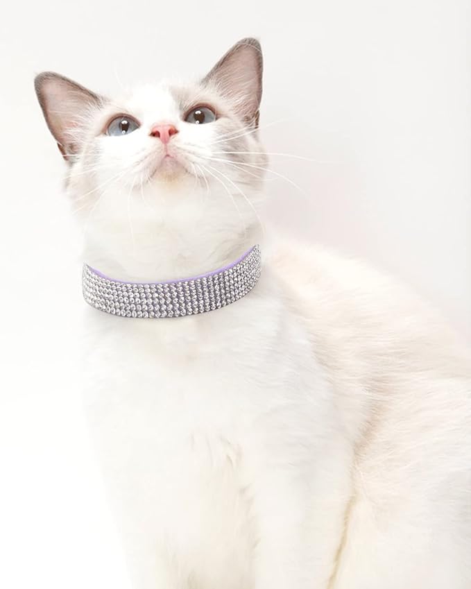 Dog Collar for Small Dogs, Adjustable Leather Suede Bling Dog Collars，Purple Dog Collar Cat Collar, Rhinestone Dog Collar (XS, Purple)