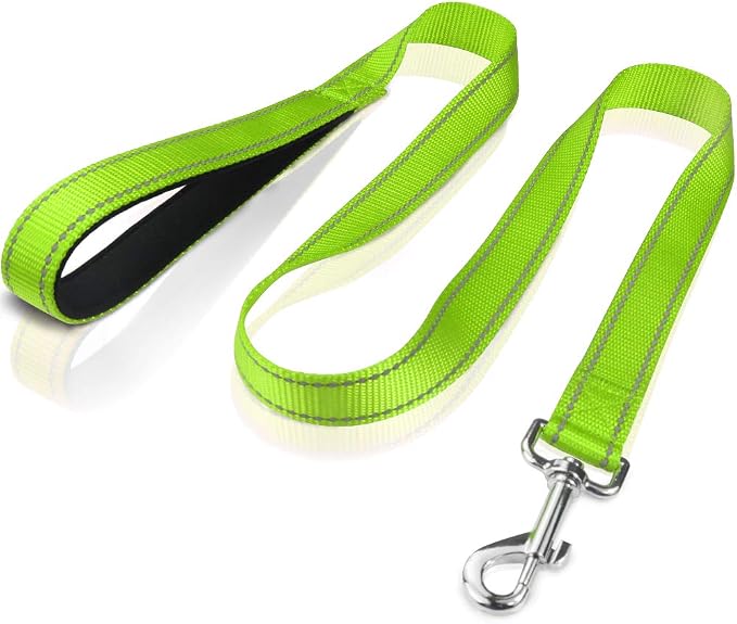 FunTags 4FT Green Reflective Dog Leash for Large & Medium Dogs Training, Soft Padded Handle Comfortable Grip, Heavy Duty Nylon, Reflective for Night Walking, 1in Wide