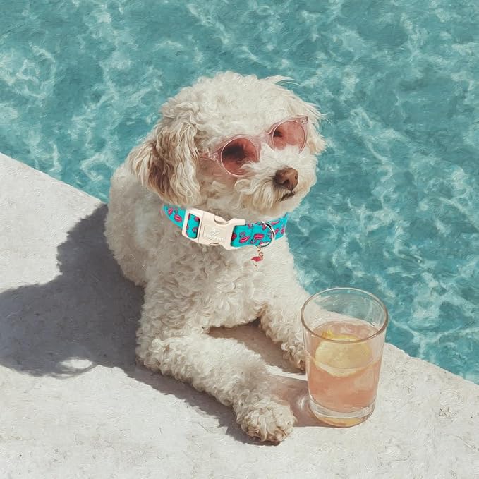 Summer Dog Collar, Cute Boy Flamingo Pool Party Dog Collars for Giant Large Dogs - Beach Day Pup Collar, Soft Adjustable Male Pet Collars with Quick Release Buckle XL