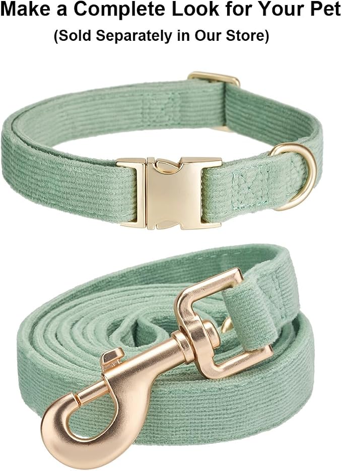 Soft Cotton Dog Leash, 5 Ft Heavy Duty Corduroy Dog Leashes with Gold Metal Hook for Small Medium Large Dogs,Small,Grass Green