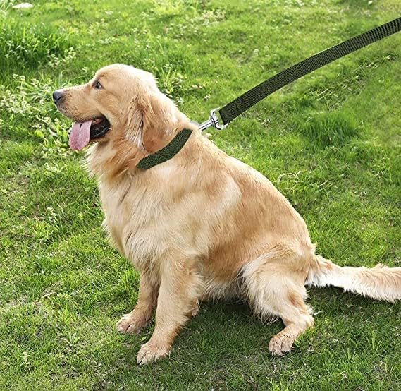 TAIAN 4FT/5FT/6FT Strong Dog Leash, Nylon Dog Leashes for Small Medium Large Dogs (Green, 1 in x 15 ft)