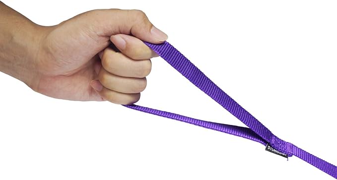 Strong Durable Nylon Dog Training Leash, 1 Inch Wide Traction Rope, 6 ft Long, for Small and Medium Dog (Purple, 6 Feet)