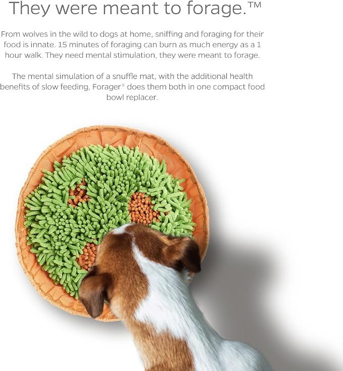 PET Parents Forager Snuffle MAT and Slow Feeder Dog Bowl, Meadow Natural