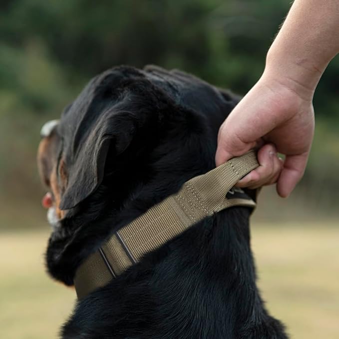 TSPRO Premium Dog Collars Tactical Dog Collar with Handle and Heavy Duty Quick-Release Metal Buckle Durable Thick and Adjustable for Medium to Large Dogs (Leopard Print L)