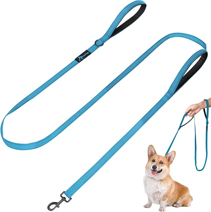 Dog Leash for Small to Medium Dogs 6 ft with 3 Reflective Stitching and 2 Traffic Padded Handles Dog Lead/Rope, Pet Leash for Running Walking Training (6 ft x 0.6 in - Blue 1 Pack)