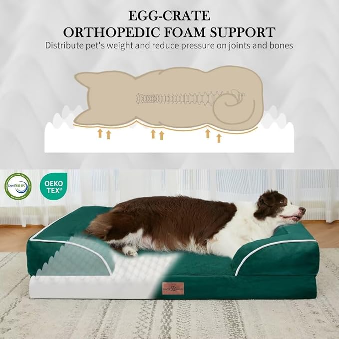 Comfort Expression Orthopedic Dog Bed for Large Dogs 36x27 Inch, Waterproof Supportive Egg Crate Foam Large Pet Bed with Removable Bolsters, Dog Couch with Washable Cover & Non-Slip Bottom, Emerald