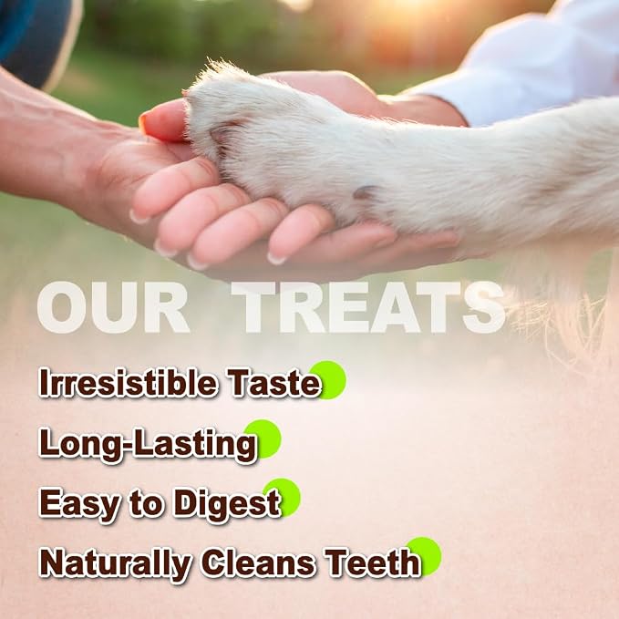 A Freschi srl Turkey Tendons for Dogs, Long-Lasting, Hypoallergenic Rawhide Alternative, Human Grade, Healthy Puppy Chews, Natural Dog Treats for Large Dogs, Bone (L), 1 Count Pack