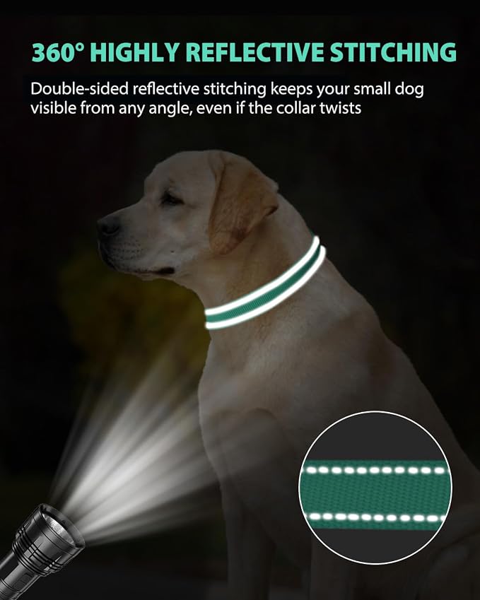 Joytale Dog Collar for Large Dogs, Strong Double-Sided Reflective Nylon Collar for Night Safety, Adjustable Quick-Release for Daily Walking, Teal, L (1" Width)