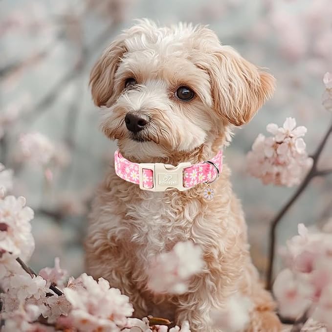 Daisy Dog Collar Pink Girl Dog Collars for Large Dogs - Lightweight Adjustable Spring/Summer Floral Female Dogs Everyday Collar with Safety Buckle L