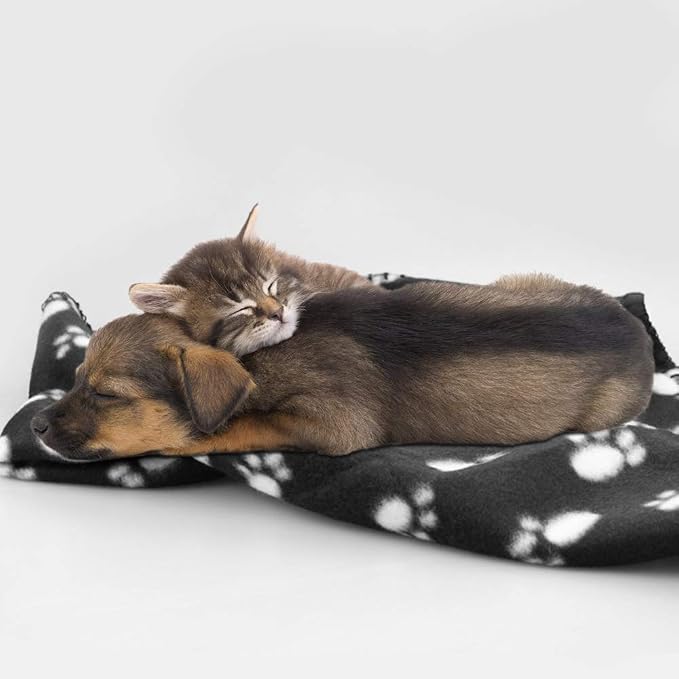 Comsmart Dog Blankets for Small Dogs, 6 Pack Puppy Blanket Cute Paw Print Pet Blanket for Dog, Puppy, Cat, Kitten, 24x28 inches, Black