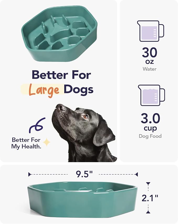 LE TAUCI PET Dog Slow Feeder Bowl Ceramic,3 Cups Puzzle Food Bowl for Small Medium Large Breed, Dog Bowls to Slow Down Eating, Maze